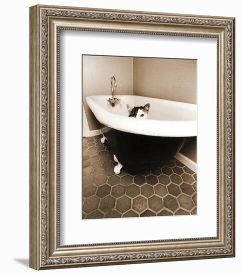 Kitty III-Jim Dratfield-Framed Photographic Print