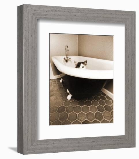 Kitty III-Jim Dratfield-Framed Photographic Print