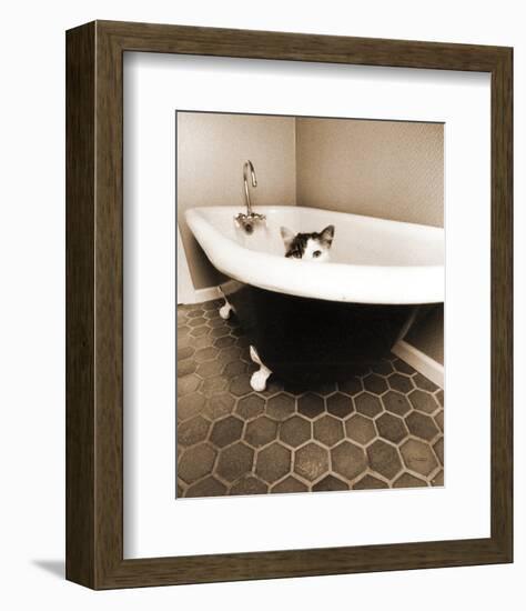 Kitty III-Jim Dratfield-Framed Photographic Print