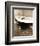 Kitty III-Jim Dratfield-Framed Photographic Print