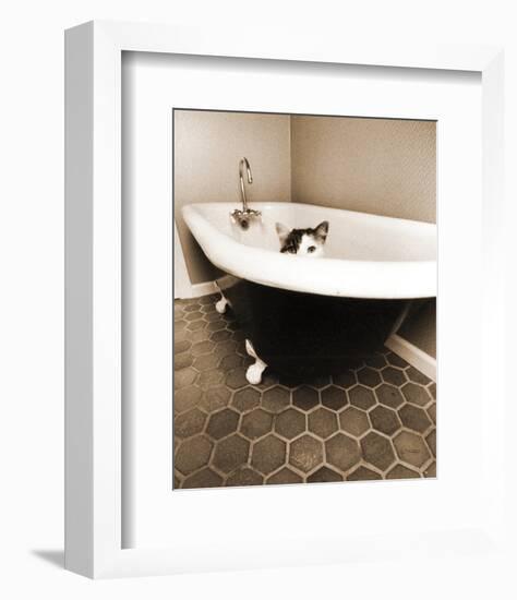 Kitty III-Jim Dratfield-Framed Photographic Print