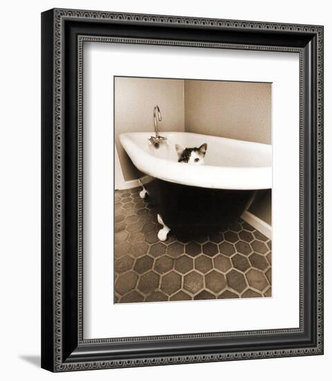 Kitty III-Jim Dratfield-Framed Photographic Print