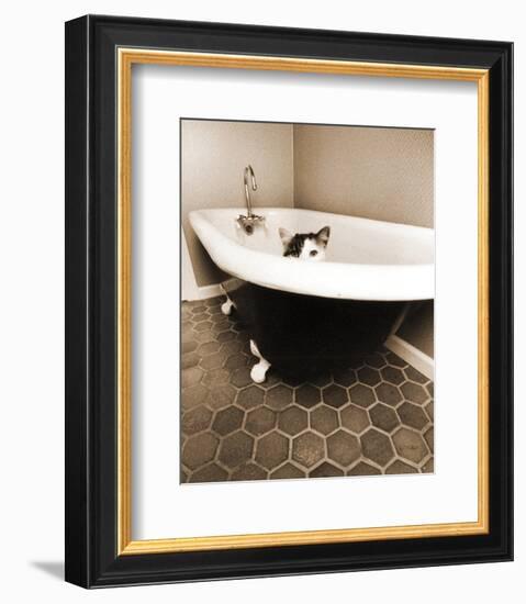 Kitty III-Jim Dratfield-Framed Photographic Print