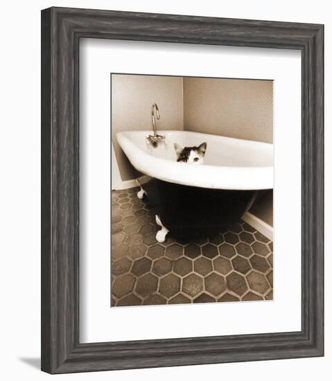 Kitty III-Jim Dratfield-Framed Photo