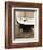 Kitty III-Jim Dratfield-Framed Photo