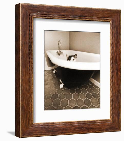 Kitty III-Jim Dratfield-Framed Photo