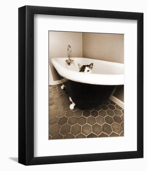 Kitty III-Jim Dratfield-Framed Photo