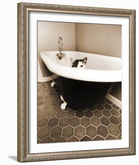 Kitty III-Jim Dratfield-Framed Photo