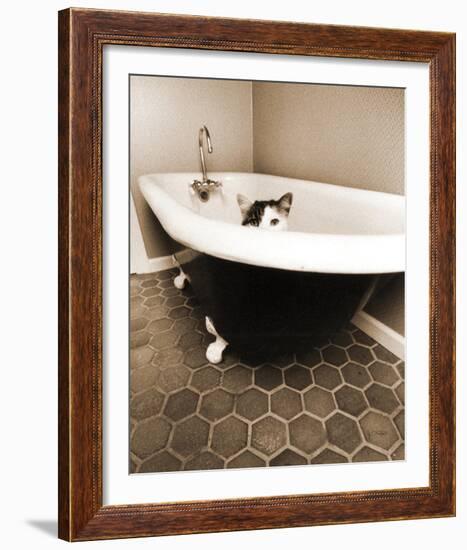 Kitty III-Jim Dratfield-Framed Photo