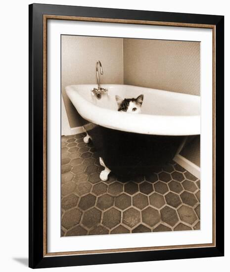 Kitty III-Jim Dratfield-Framed Photo