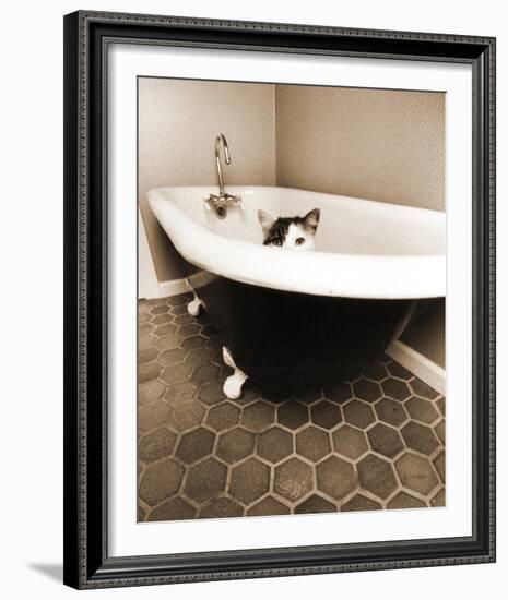 Kitty III-Jim Dratfield-Framed Photo