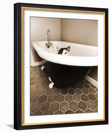 Kitty III-Jim Dratfield-Framed Photo