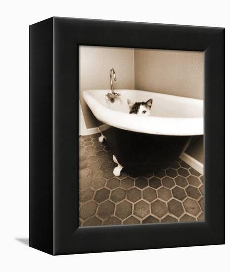 Kitty III-Jim Dratfield-Framed Stretched Canvas