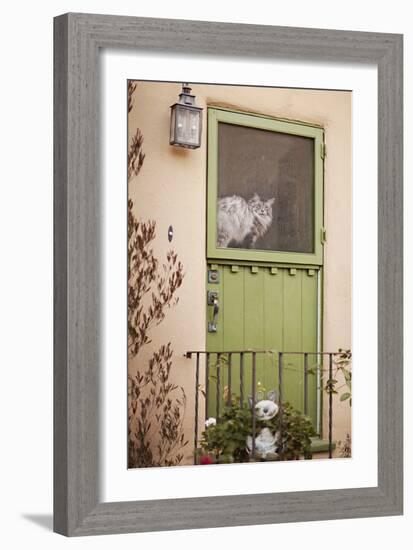 Kitty in the Window-Karyn Millet-Framed Photographic Print