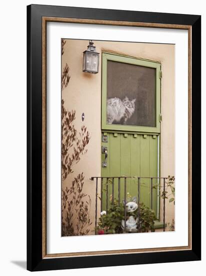 Kitty in the Window-Karyn Millet-Framed Photographic Print