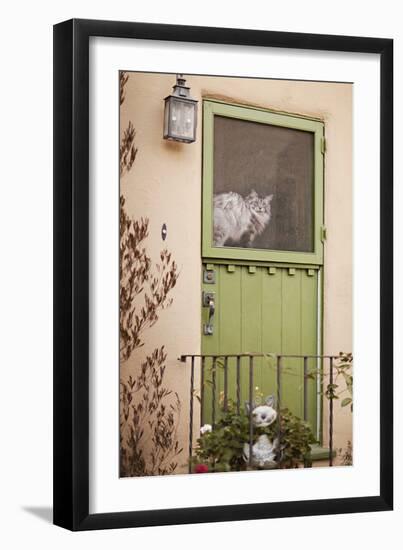 Kitty in the Window-Karyn Millet-Framed Photographic Print