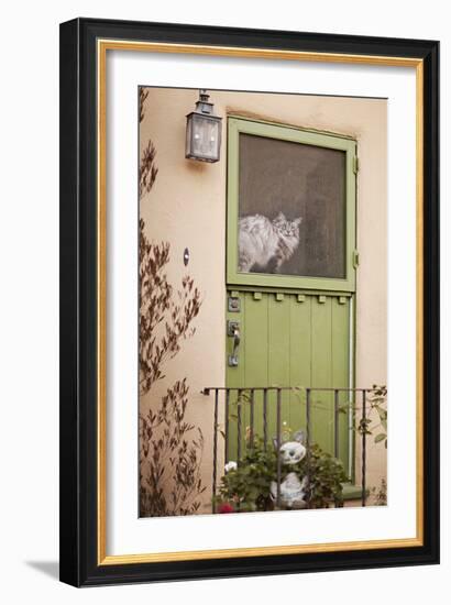 Kitty in the Window-Karyn Millet-Framed Photographic Print