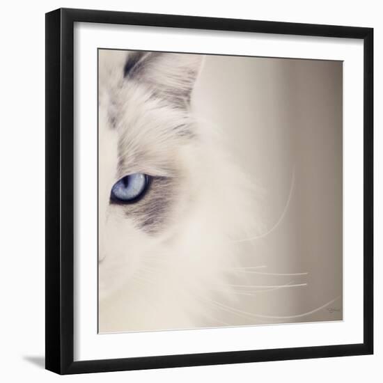 Kitty Kitty-Barbara Simmons-Framed Photographic Print