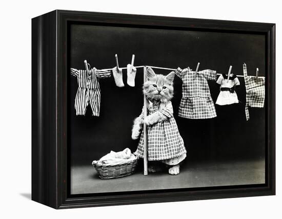 Kitty Laundry-Vintage Apple Collection-Framed Premier Image Canvas