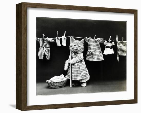 Kitty Laundry-Vintage Apple Collection-Framed Giclee Print