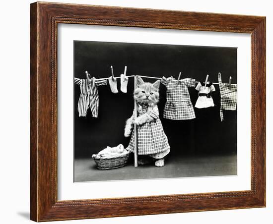 Kitty Laundry-Vintage Apple Collection-Framed Giclee Print