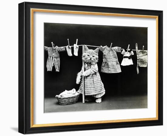 Kitty Laundry-Vintage Apple Collection-Framed Giclee Print