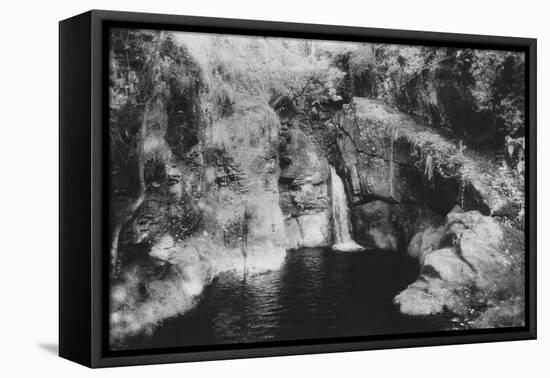 Kitty's Steps, Lydford Gorge, Devon, England-Simon Marsden-Framed Premier Image Canvas