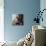 Kitty Throne-Lucia Heffernan-Premium Giclee Print displayed on a wall