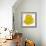 Kiwano Horned Melon Slice-Steve Gadomski-Framed Photographic Print displayed on a wall