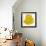 Kiwano Horned Melon Slice-Steve Gadomski-Framed Photographic Print displayed on a wall
