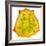 Kiwano Horned Melon Slice-Steve Gadomski-Framed Photographic Print