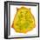 Kiwano Horned Melon Slice-Steve Gadomski-Framed Photographic Print