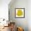 Kiwano Horned Melon Slice-Steve Gadomski-Framed Photographic Print displayed on a wall