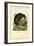 Kiwi, 1863-79-Raimundo Petraroja-Framed Giclee Print