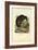 Kiwi, 1863-79-Raimundo Petraroja-Framed Giclee Print