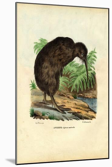 Kiwi, 1863-79-Raimundo Petraroja-Mounted Giclee Print