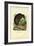 Kiwi, 1863-79-Raimundo Petraroja-Framed Giclee Print