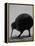 Kiwi Bird at San Diego Zoo-Loomis Dean-Framed Premier Image Canvas