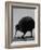 Kiwi Bird at San Diego Zoo-Loomis Dean-Framed Photographic Print