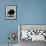 Kiwi Bird at San Diego Zoo-Loomis Dean-Framed Photographic Print displayed on a wall