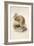 Kiwi, C.1850-Joseph Wolf-Framed Giclee Print