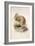 Kiwi, C.1850-Joseph Wolf-Framed Giclee Print