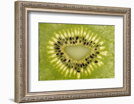 Kiwi Detail-Steve Gadomski-Framed Photographic Print