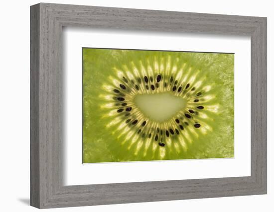 Kiwi Detail-Steve Gadomski-Framed Photographic Print