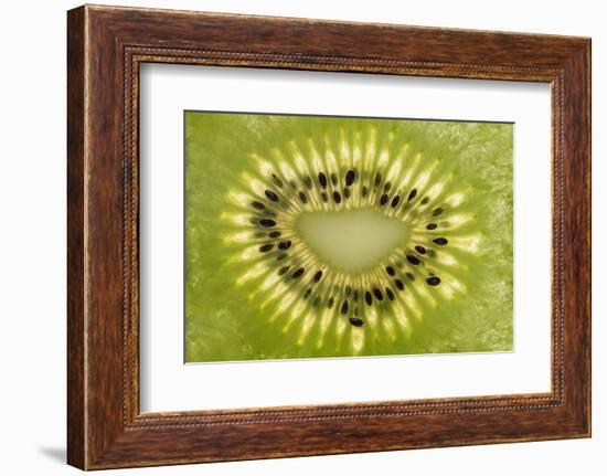 Kiwi Detail-Steve Gadomski-Framed Photographic Print