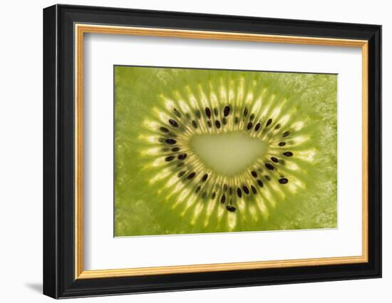 Kiwi Detail-Steve Gadomski-Framed Photographic Print