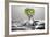 Kiwi FreshSplash-Steve Gadomski-Framed Photographic Print