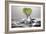 Kiwi FreshSplash-Steve Gadomski-Framed Photographic Print