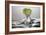 Kiwi FreshSplash-Steve Gadomski-Framed Photographic Print