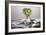 Kiwi FreshSplash-Steve Gadomski-Framed Photographic Print